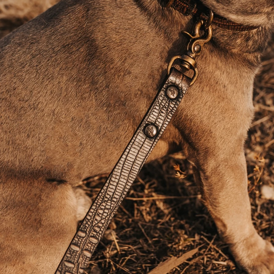 "Freebird Stores Brown Distressed Leather Dog Leash for Women – Durable and Stylish Pet Accessory"