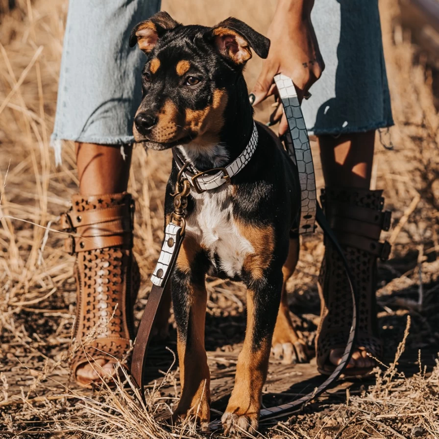 "Freebird Stores White Croco Pattern Women's Fashion Dog Leash – Stylish & Durable Pet Accessory"